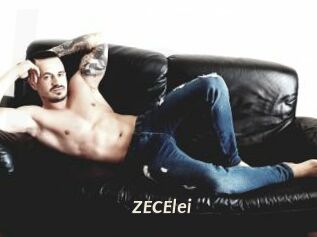 ZECElei