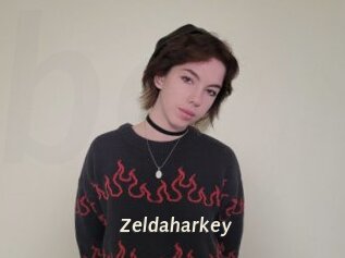 zeldaharkey Blog éjac