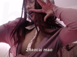 Zhaocai_mao