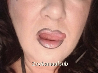 Zoekanaalsub