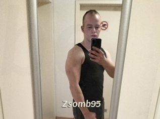 Zsomb95